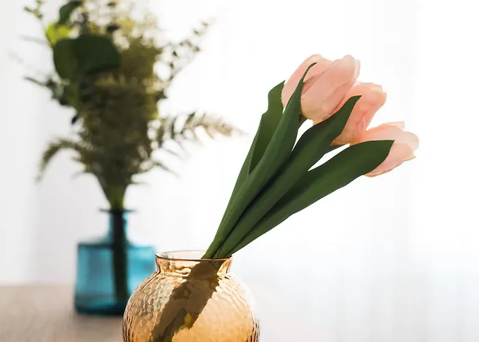 Appartement Boliches On The Beach, Ideal Parejas